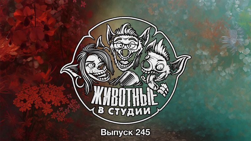 Выпуск 245. Контент из нашей Д****
