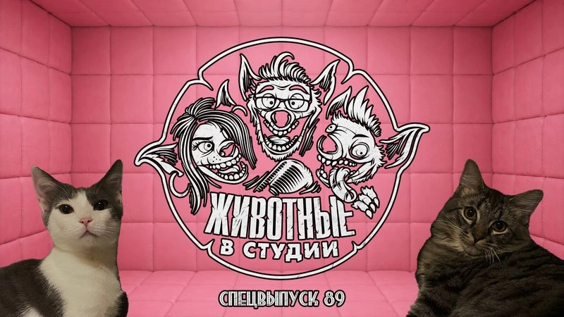 Спецвыпуск 89. В подкаст через постель — вся правда о личной жизни Романа