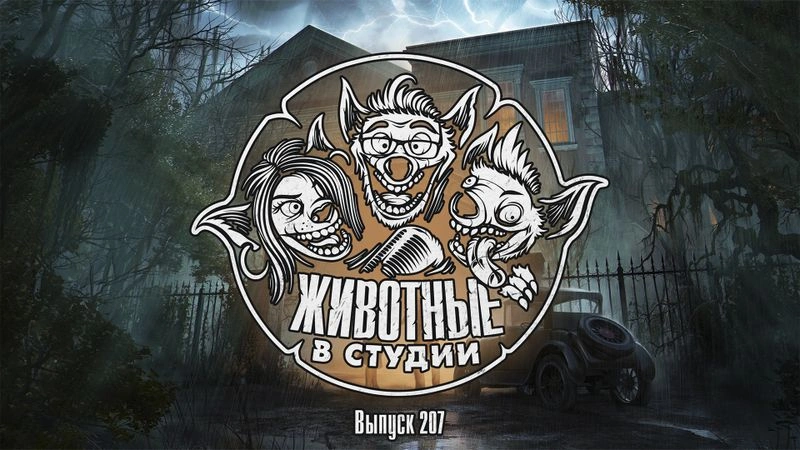 Подкаст «Животные в Cтудии». Выпуск 207. Эрогенное Место Силы