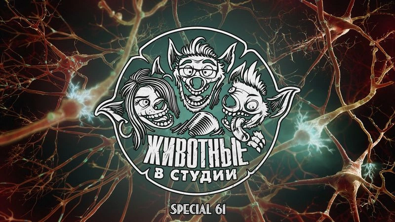 Спецвыпуск 61. Who is Who — с клиническим психологом