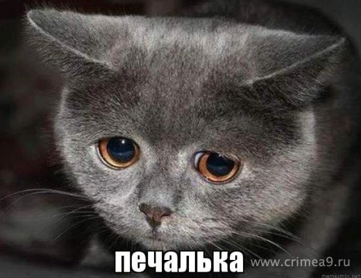 Новогодние печальки