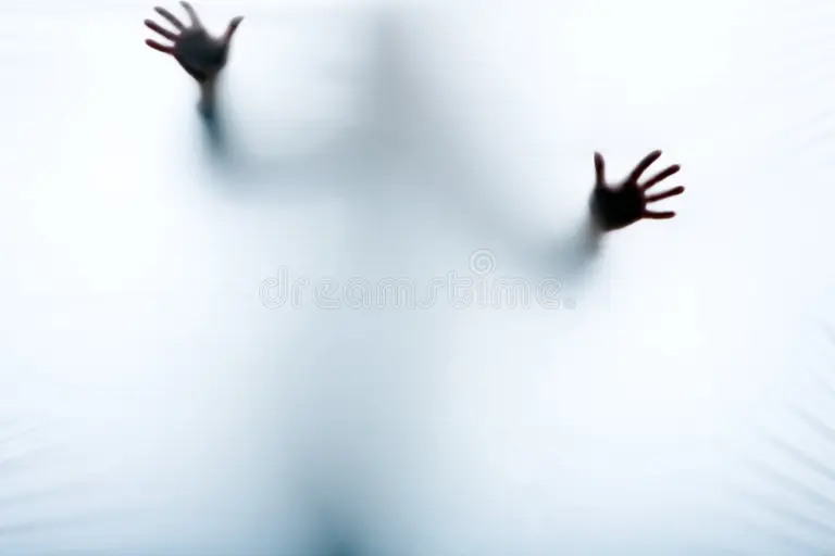 preview_image