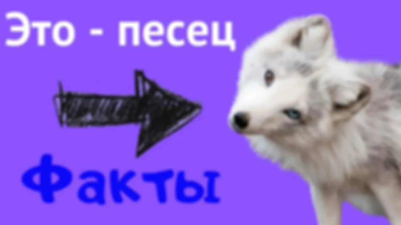 Полярный лис отечественного образования