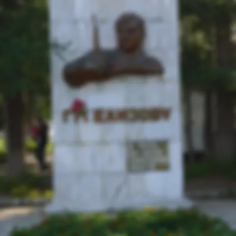 preview_image