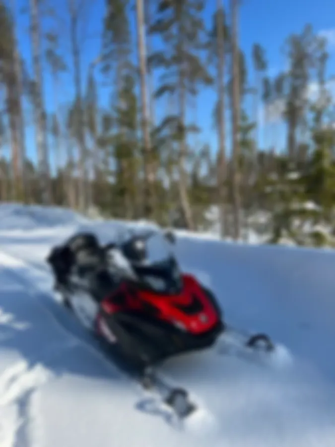 Последний из настоящих Lynx! На рыбалку съездить, лосика из леса вытащить, загон обрезать, дровишек к зимовью притащить