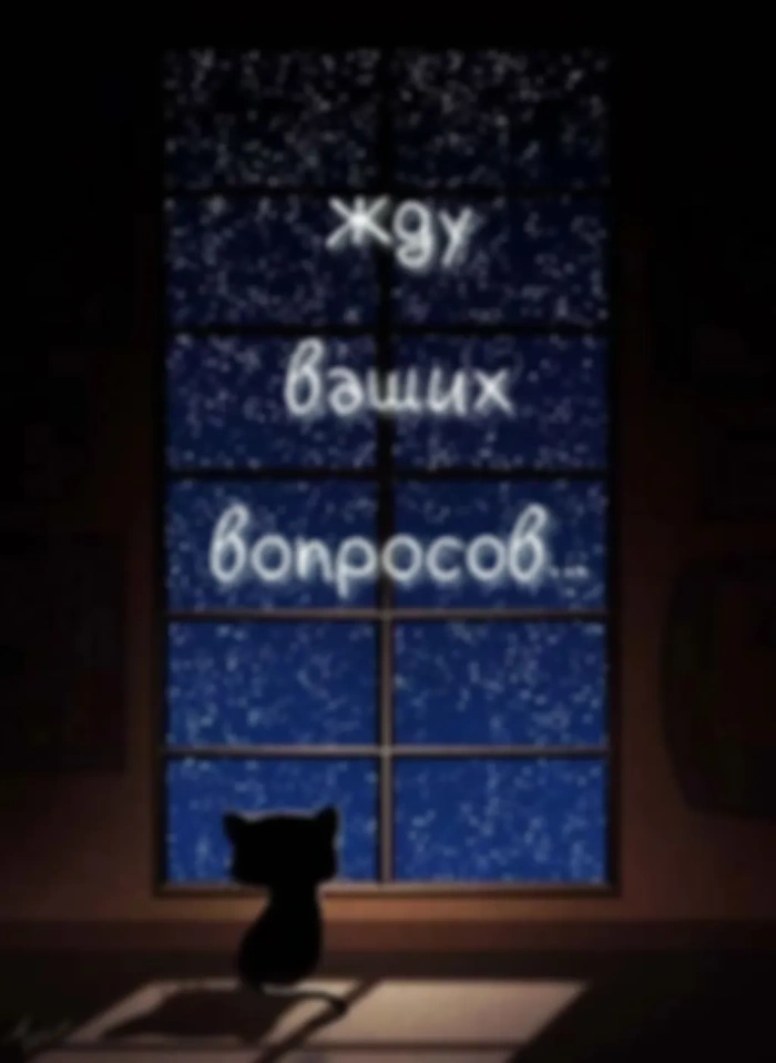 Вопросы. Помощь. Консультации.