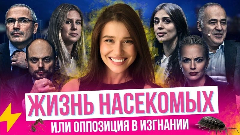 Навальная, Соболь, Кара-Мурза, Толоконникова — чем сейчас заныты адепты «Прекрасной России будущего»