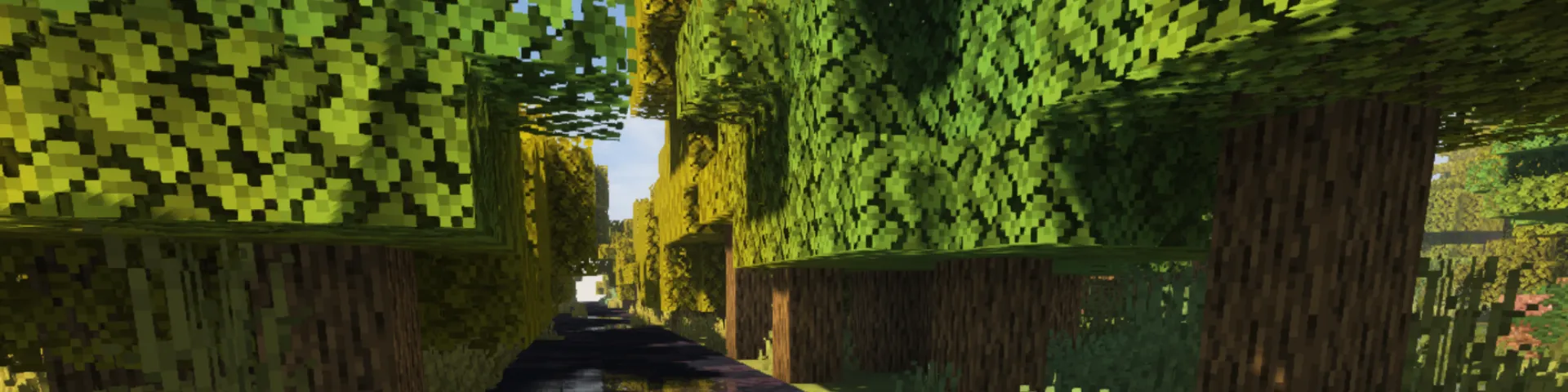 project-image