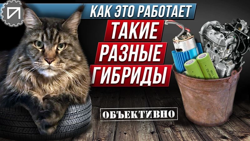 Такие разные гибриды. Как это работает