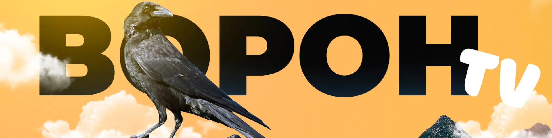 project-image