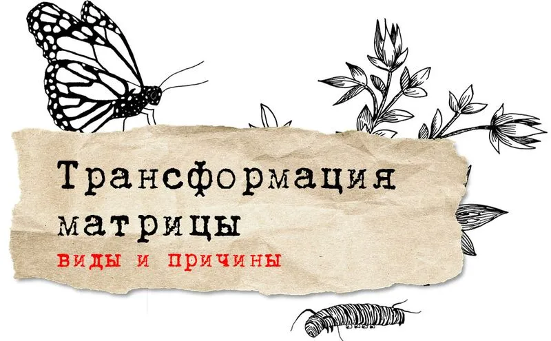 Трансформация матрицы