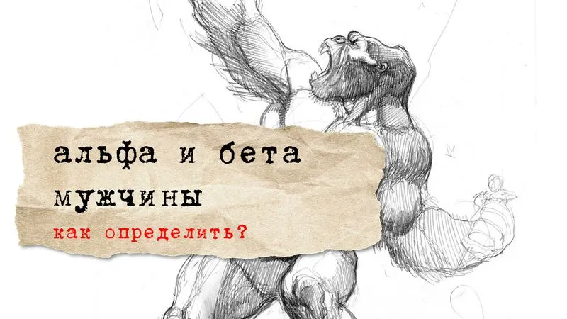 альфа и бета мужчины