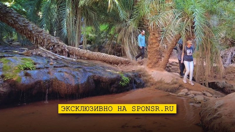 ЭКСКЛЮЗИВ: Мавритания — Внутри оазиса Тержит