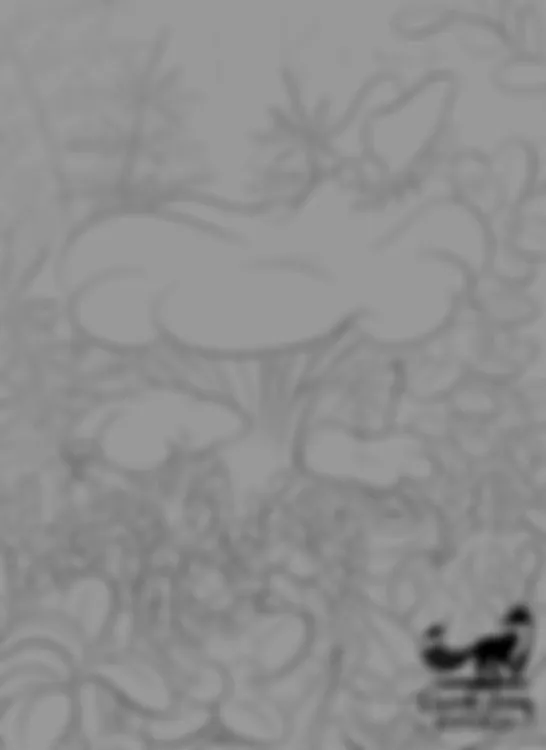 Golden chanterelle (postcard spoiler)