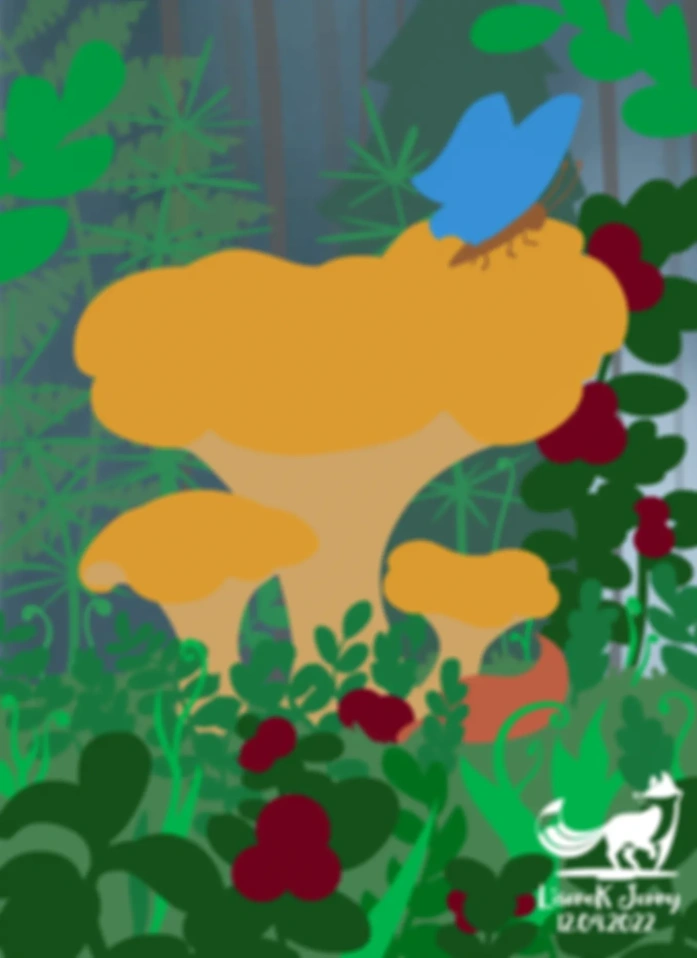 Golden chanterelle (postcard spoiler №2)