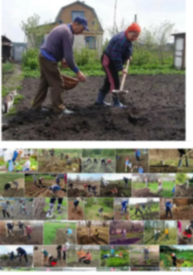 Рисуем people garden.