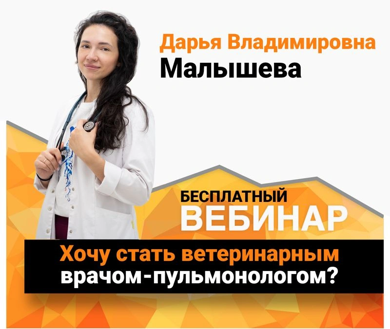Хочу стать ветеринарным врачом-пульмонологом