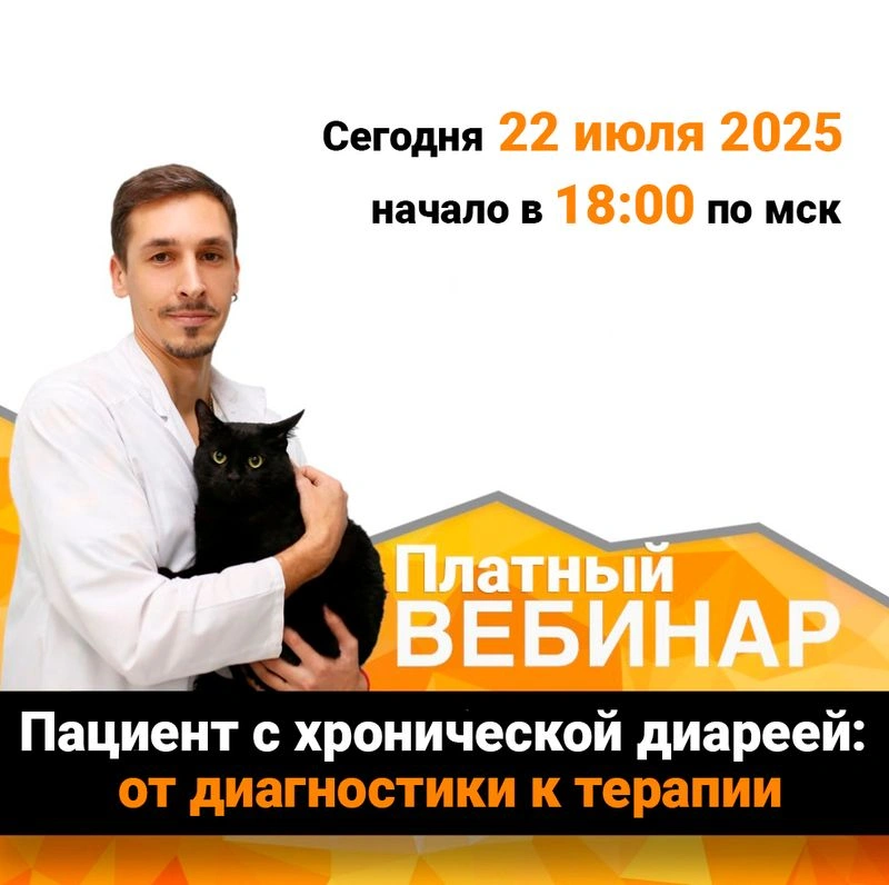 Вебинар: Пациент с хронической диареей: от диагностики к терапии
