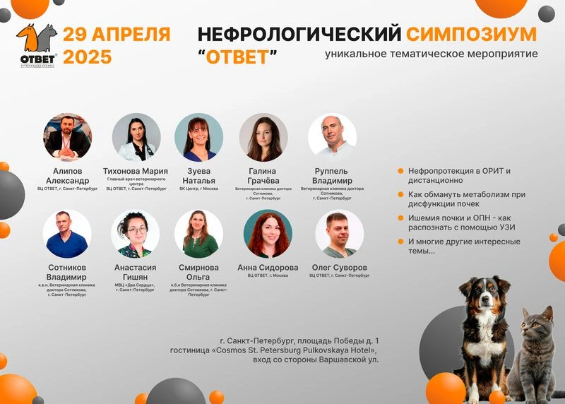 Протеинурия у пациента эндокринолога — Смирнова Ольга, к. б. н., Ветеринарная клиника доктора Сотникова, г. Санкт-Петербург
