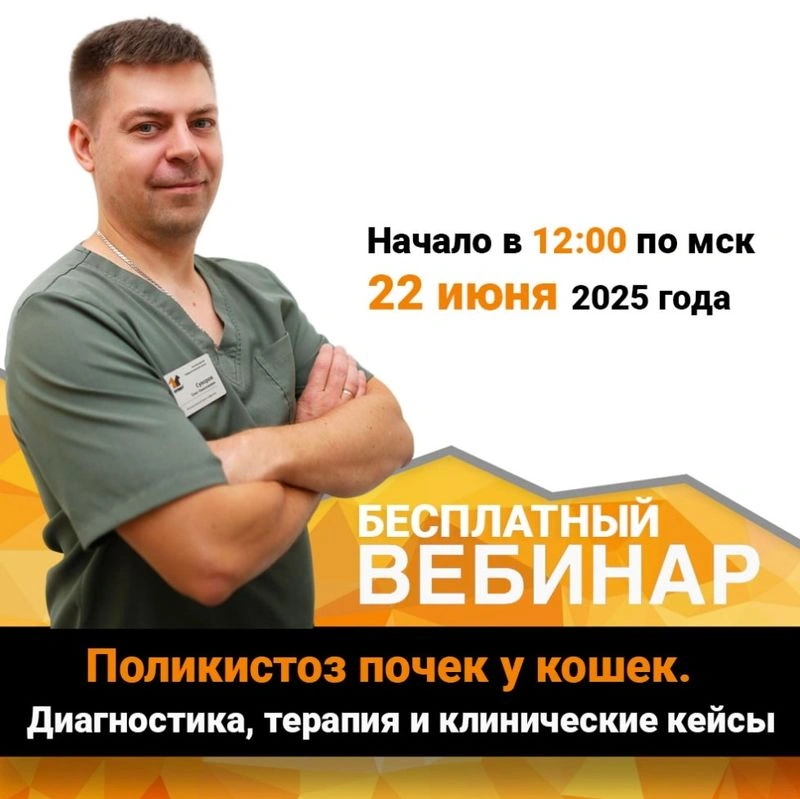 Поликистоз почек у кошек. Диагностика, терапия и клинические кейсы