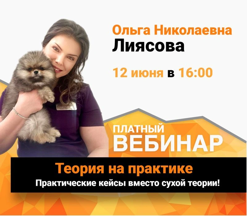 Вебинар из цикла Теория на практике — Дай пас!