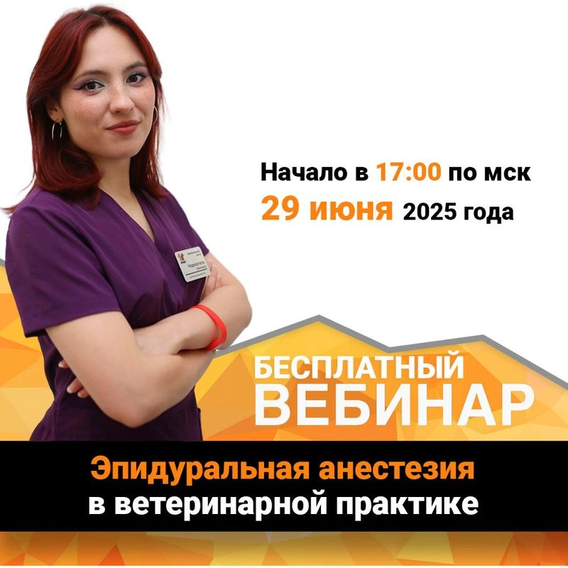 Эпидуральная анестезия в ветеринарной практике