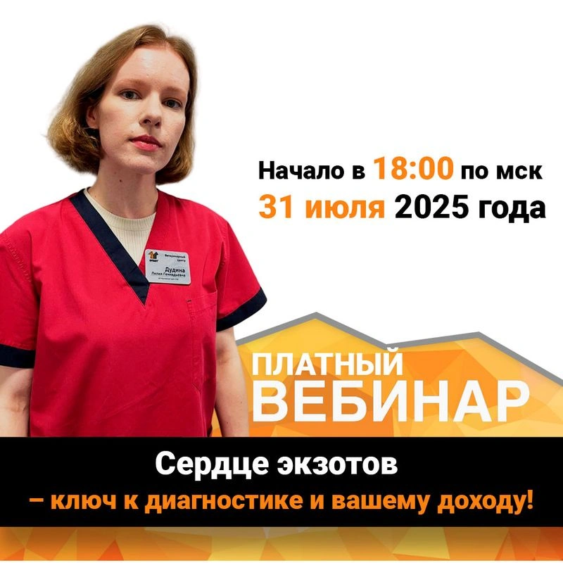Вебинар Сердце экзотов — ключ к диагностике и вашему доходу!