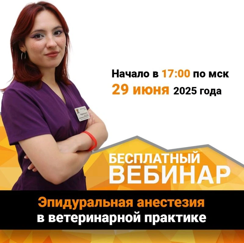 Эпидуральная анестезия в ветеринарной практике!