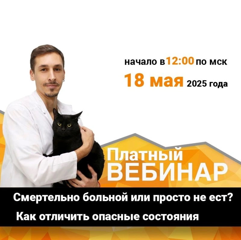 Смертельно больной или просто не ест! Как отличить опасные состояния пациента