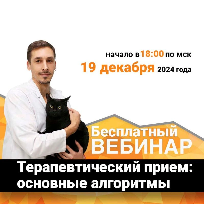 Терапевтический прием основные алгоритмы!