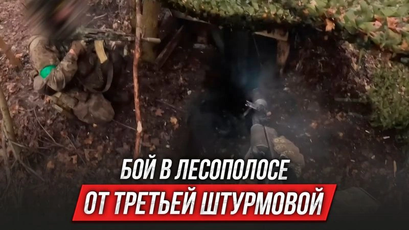 Бой в лесополосе от третьей штурмовой | Инструктор смотрит
