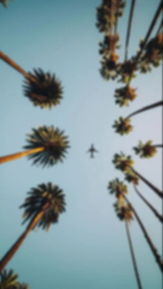 test5