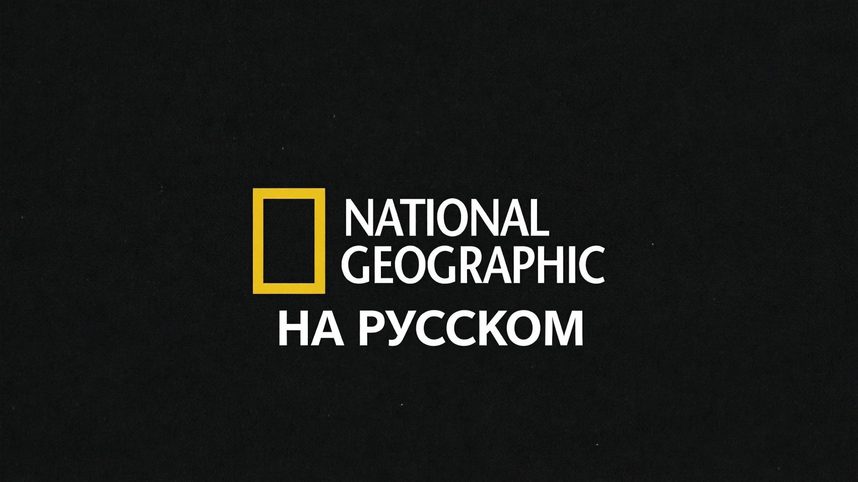 вк видео стрим