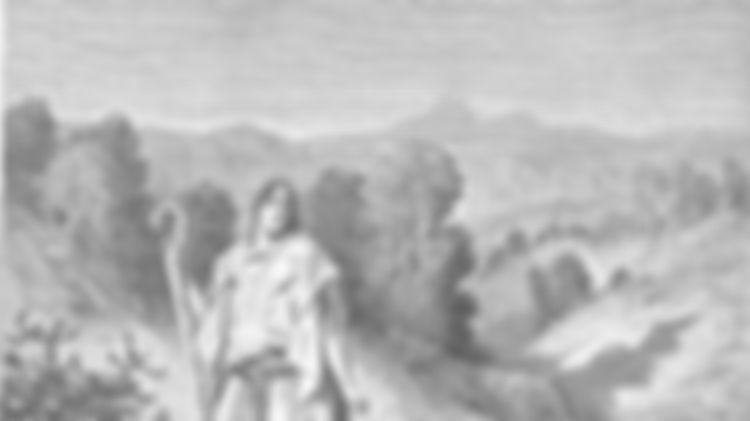 preview_image