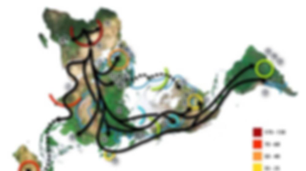 preview_image