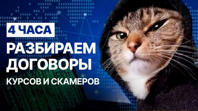 Фулл с Юристом. Разбираем курсы и всякое разводилово