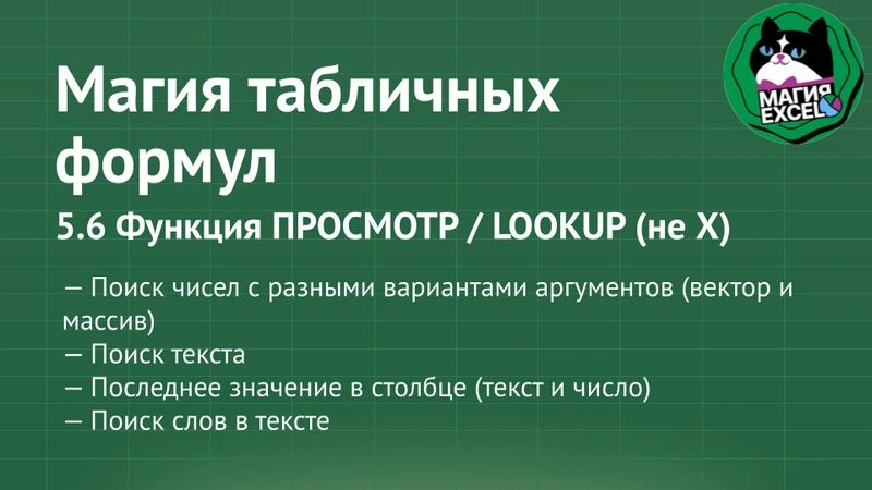 5.6 Функция ПРОСМОТР / LOOKUP