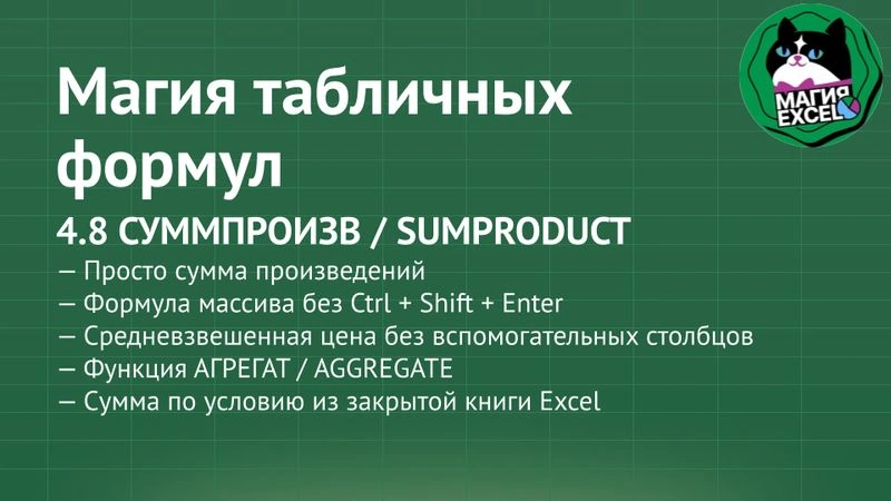 4.8 Функция СУММПРОИЗВ / SUMPRODUCT