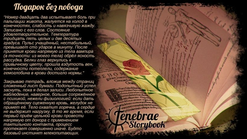 Из сборника рассказов: «Подарок без повода»