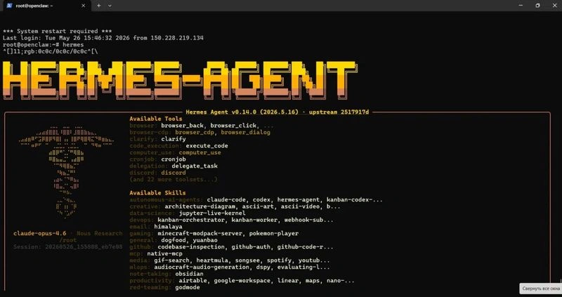 Как я тестировала новомодный Hermes (не сумочку, а ИИ-агента), и так и не поняла, в чём прикол