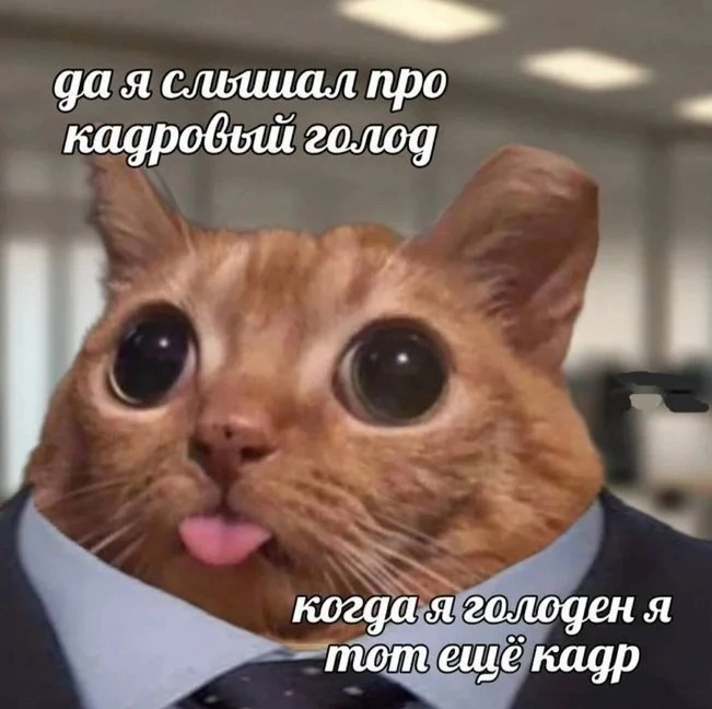 1000 резюме в день: как отдать ИИ первичный отбор и не потерять нормальных кандидатов
