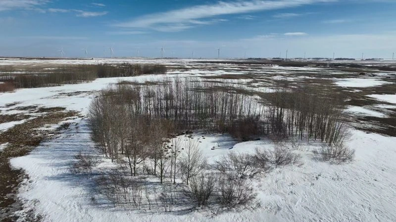 Булаксай — Последние снега — ВЭС