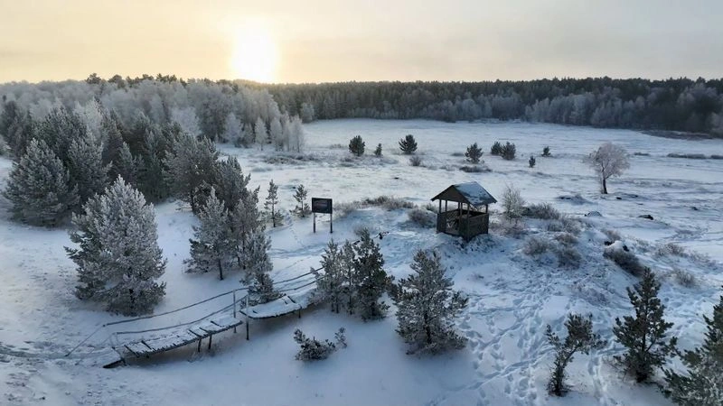 Зимний лес — Рассвет — Акколь