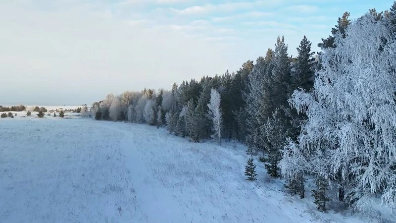 Акколь — Зимний лес