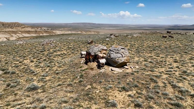 Долина Шаров — урочище Торыш — Мангистау — Лошади