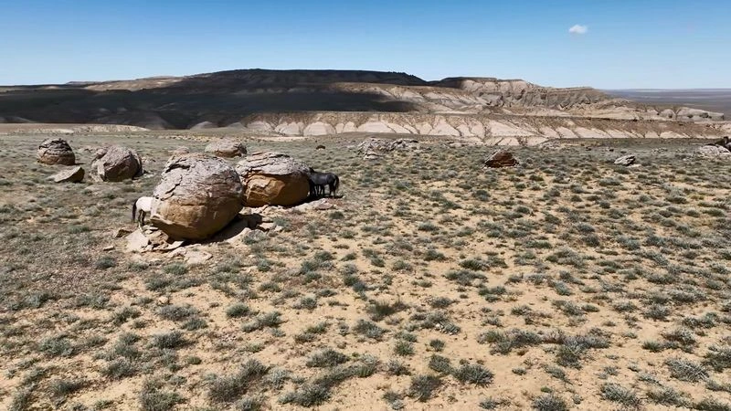 Долина Шаров — урочище Торыш — Мангистау — Лошади