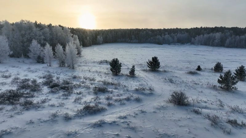 Зимний лес — Рассвет — Акколь