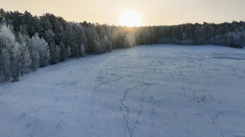 Акколь — Зимний лес — Рассвет