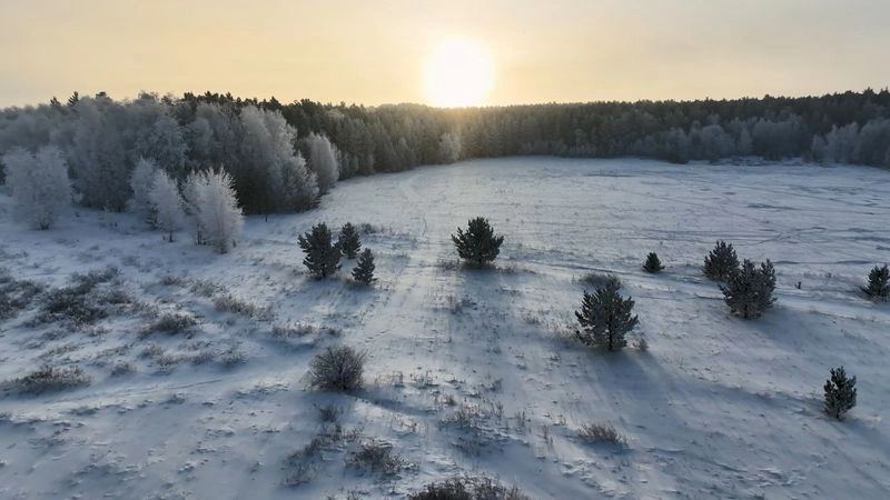 Акколь — Зимний лес — Рассвет