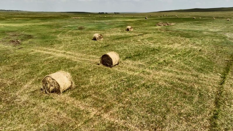 Буйратау (Соколиные горы)